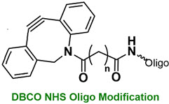 Bio-Synthesis Inc. Oligo Structure